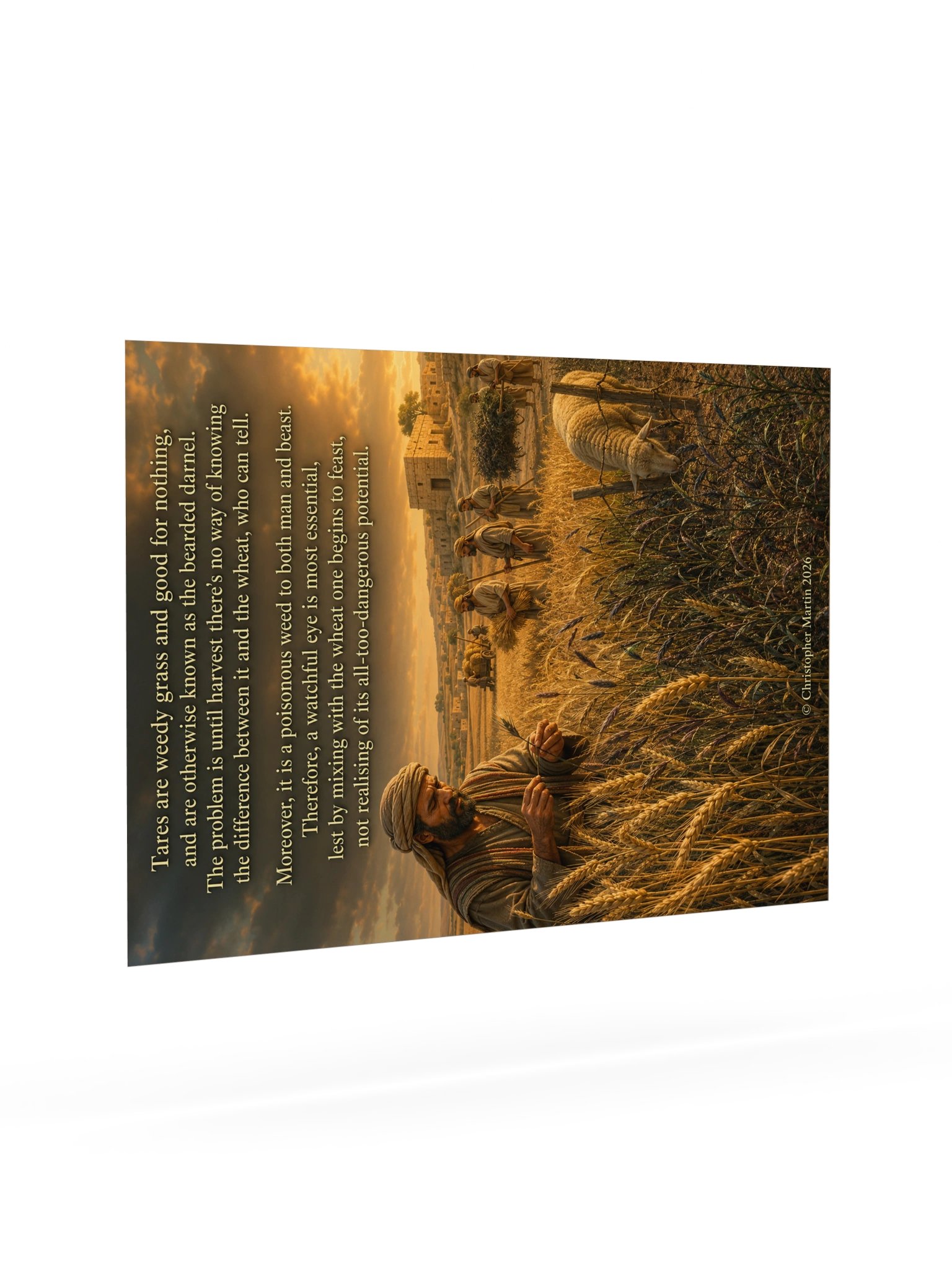 Tares and wheat product image (7)