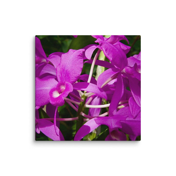 Purple product image (29)