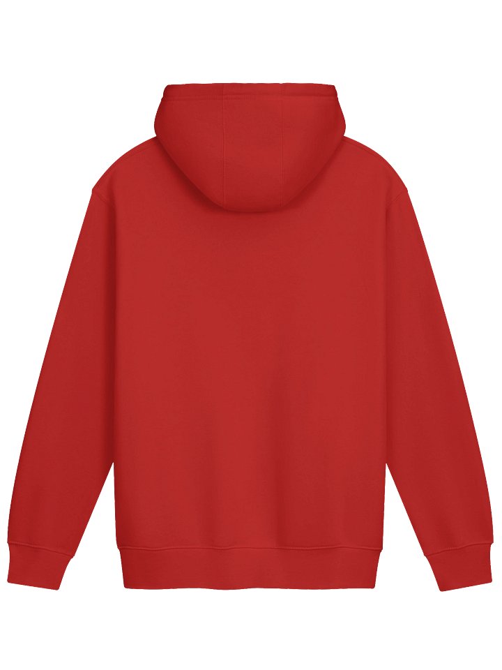 Ph**k Kings Hoodie product image (2)