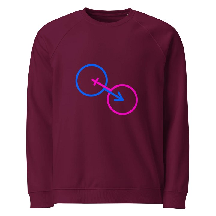 Male & Female Genders Only Raglan Sweatshirt product image (1)