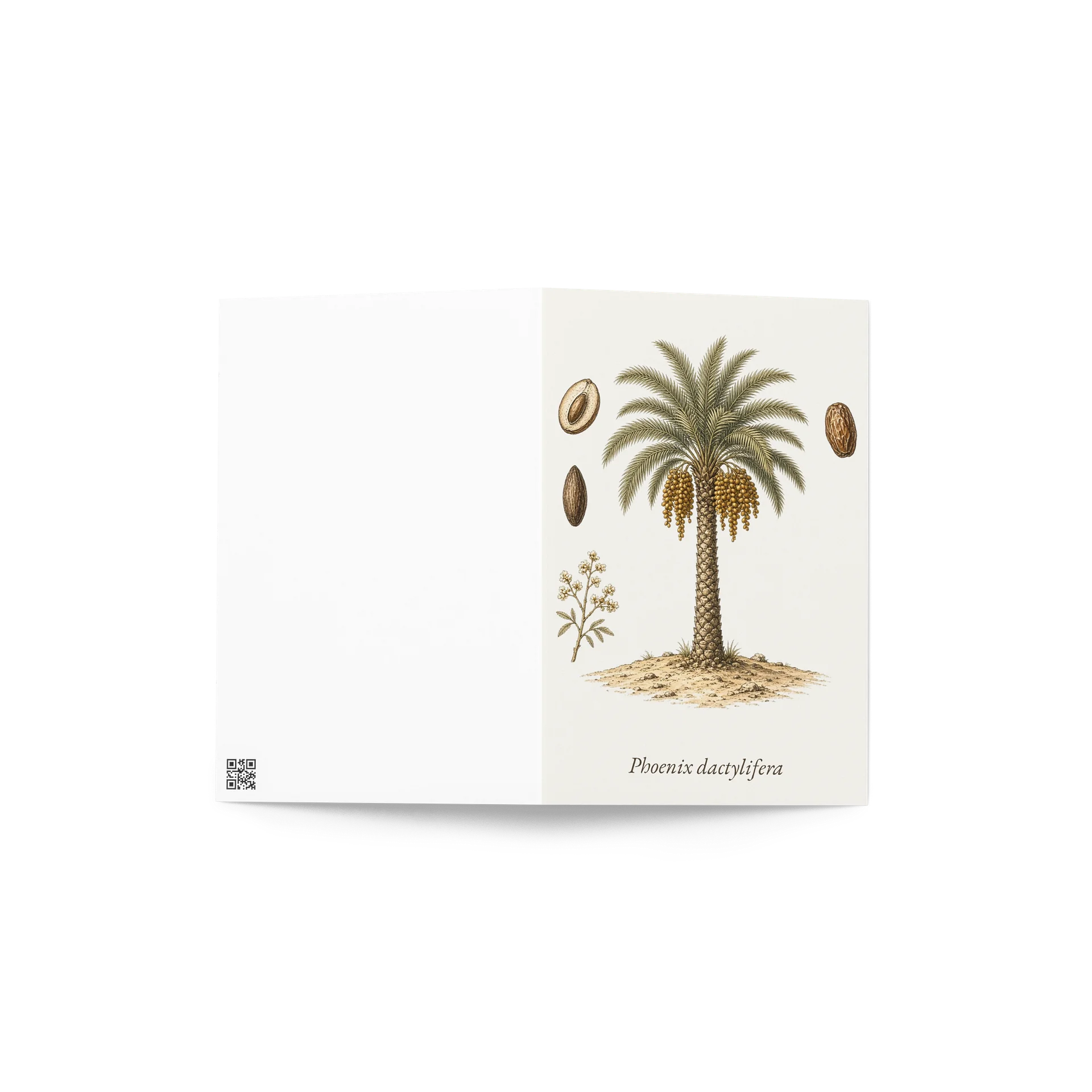 Vintage Botanical Date Palm Greeting Card product image (4)