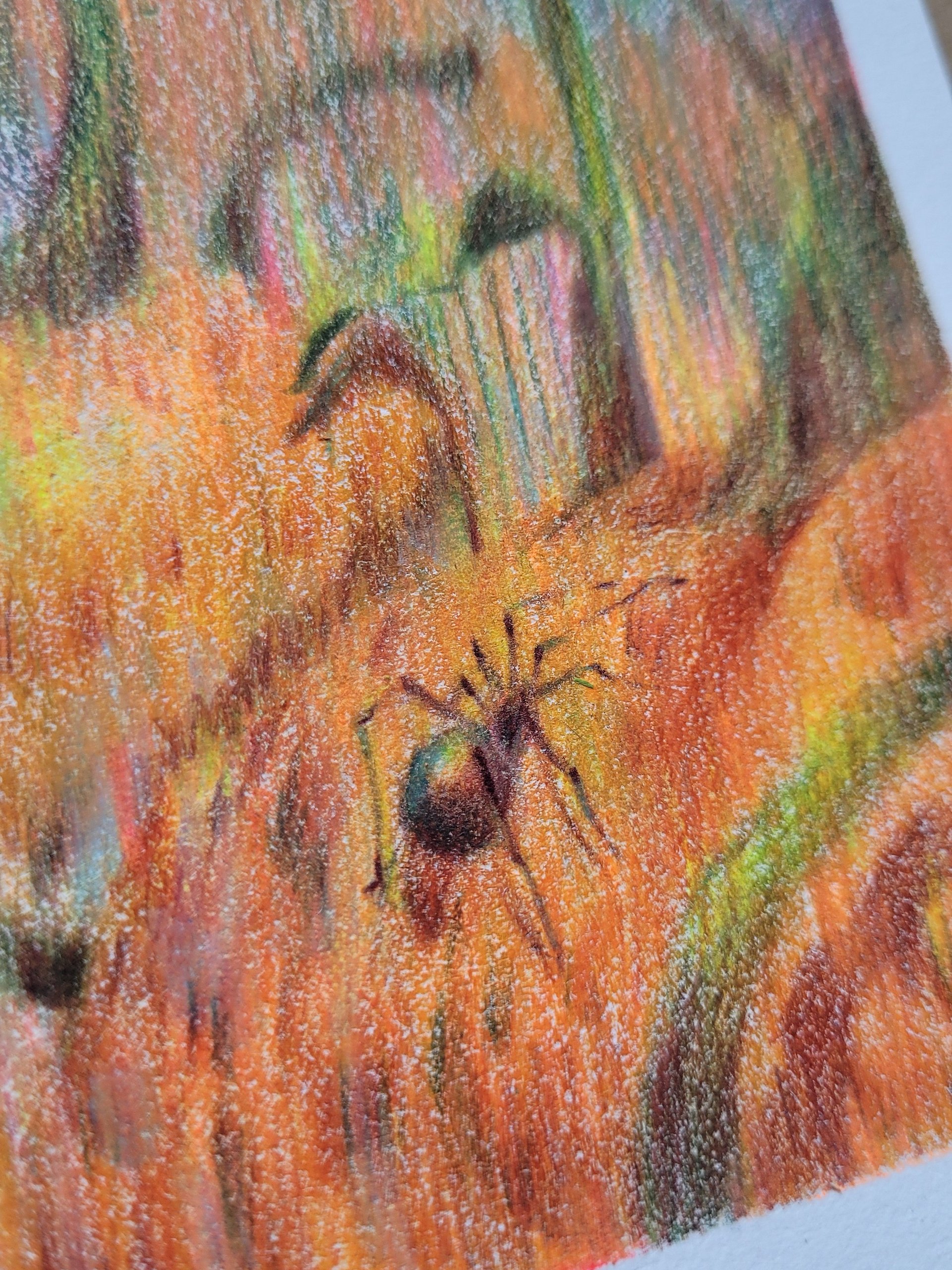 'Pumpkin Spider' Original illustration product image (3)