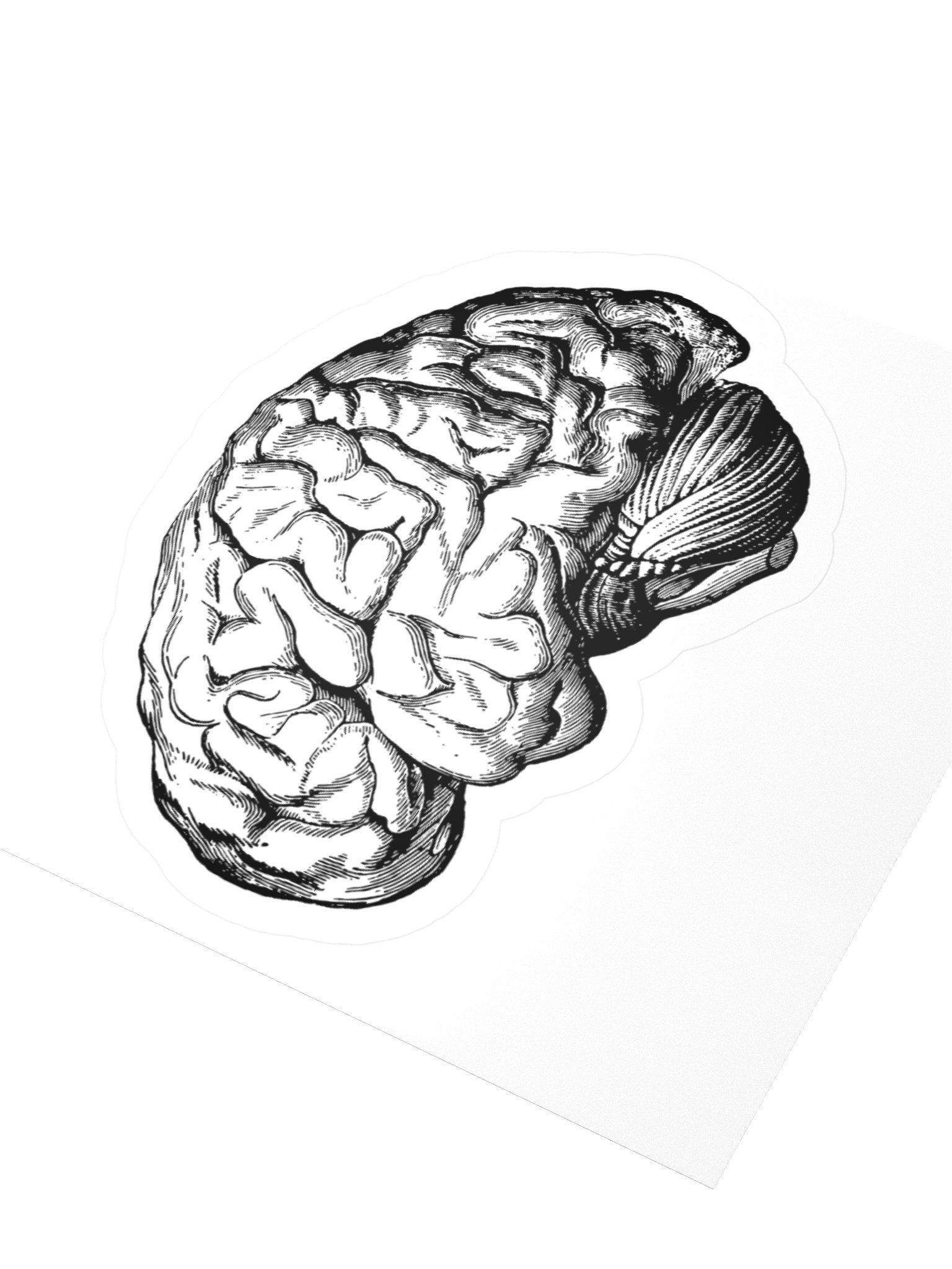 Pegatina Oficial | La Carrera de Psicología en Podcast product image (3)