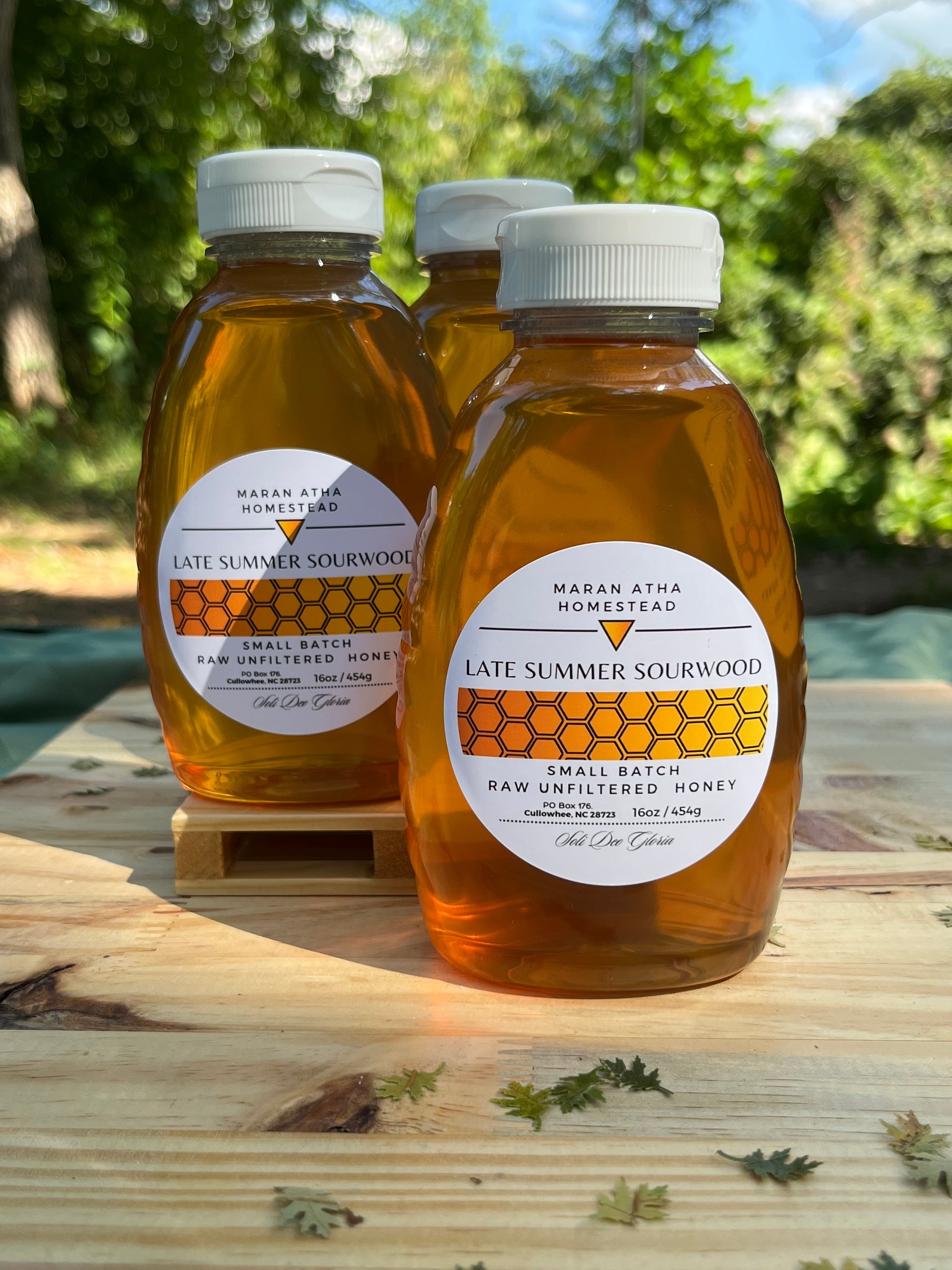 Late Summer Sourwood Honey product image (4)