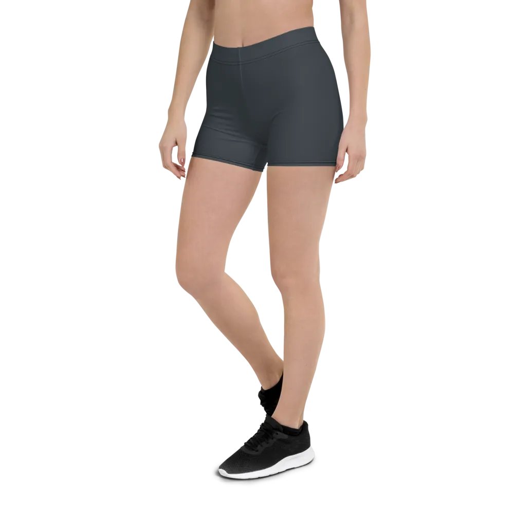 Slate Surf Shorts product image (5)