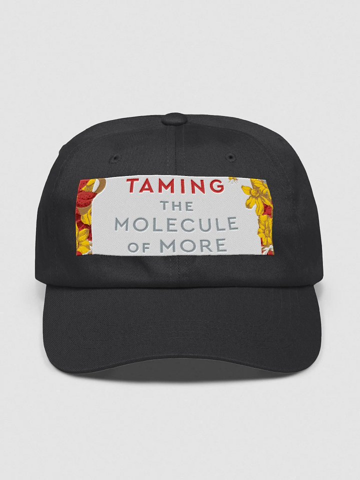 Taming Hat product image (1)
