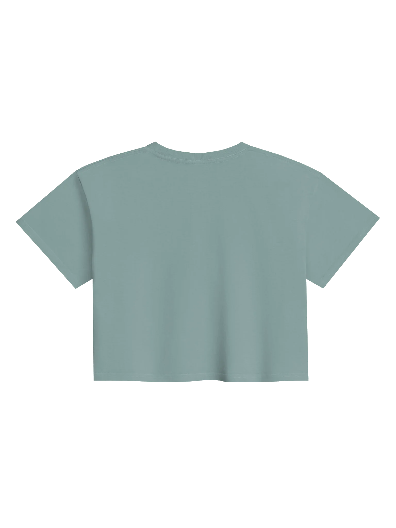 Wake Explorer Decal Logo Croptop product image (15)