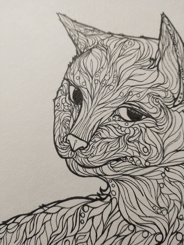 Matte paper is good for coloring! Cat Swirlimal, for printerless Coloring Club friends product image (1)