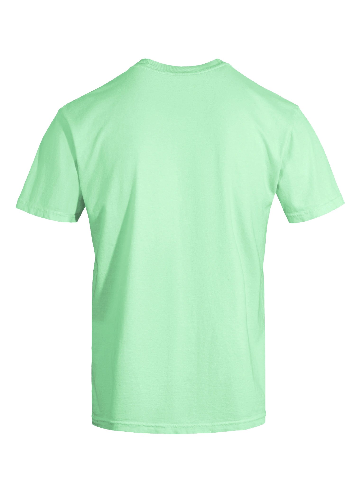 Ballot Measure (Light) product image (7)