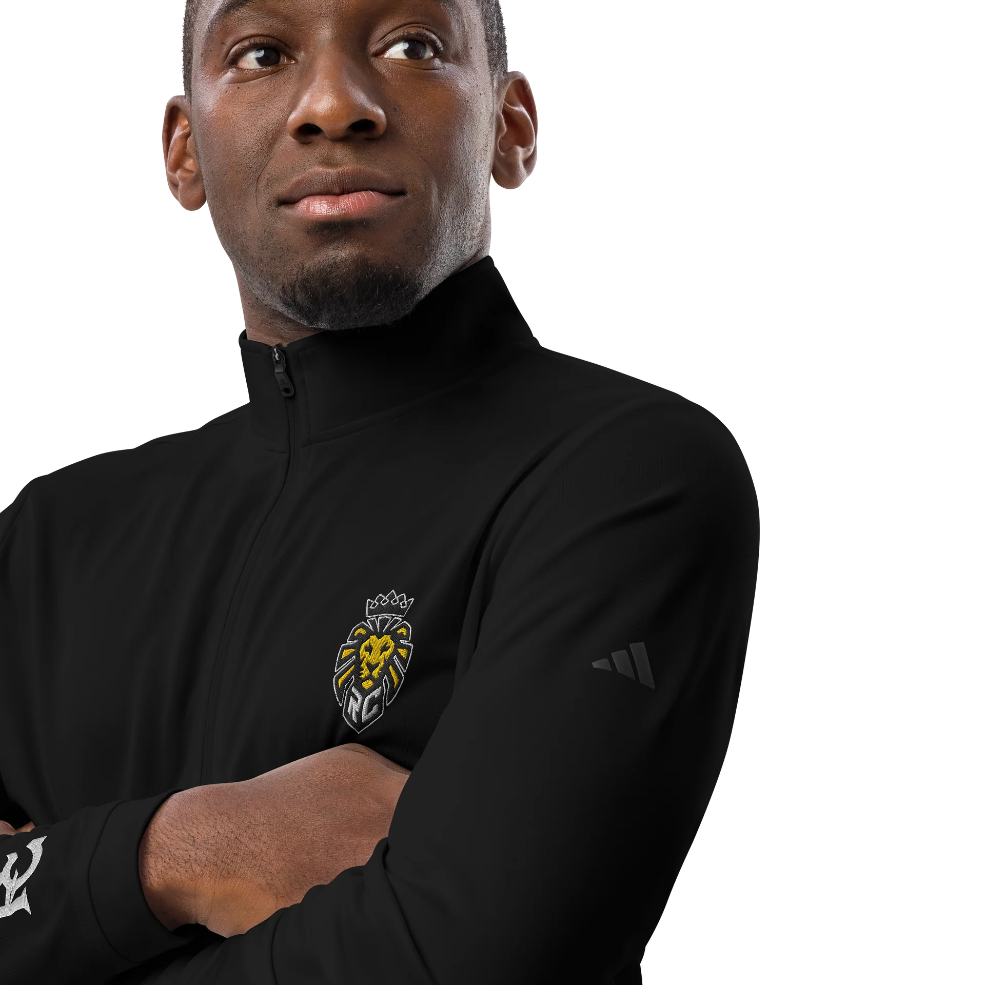 Royal Creature - Lion Embroidered Pullover product image (7)
