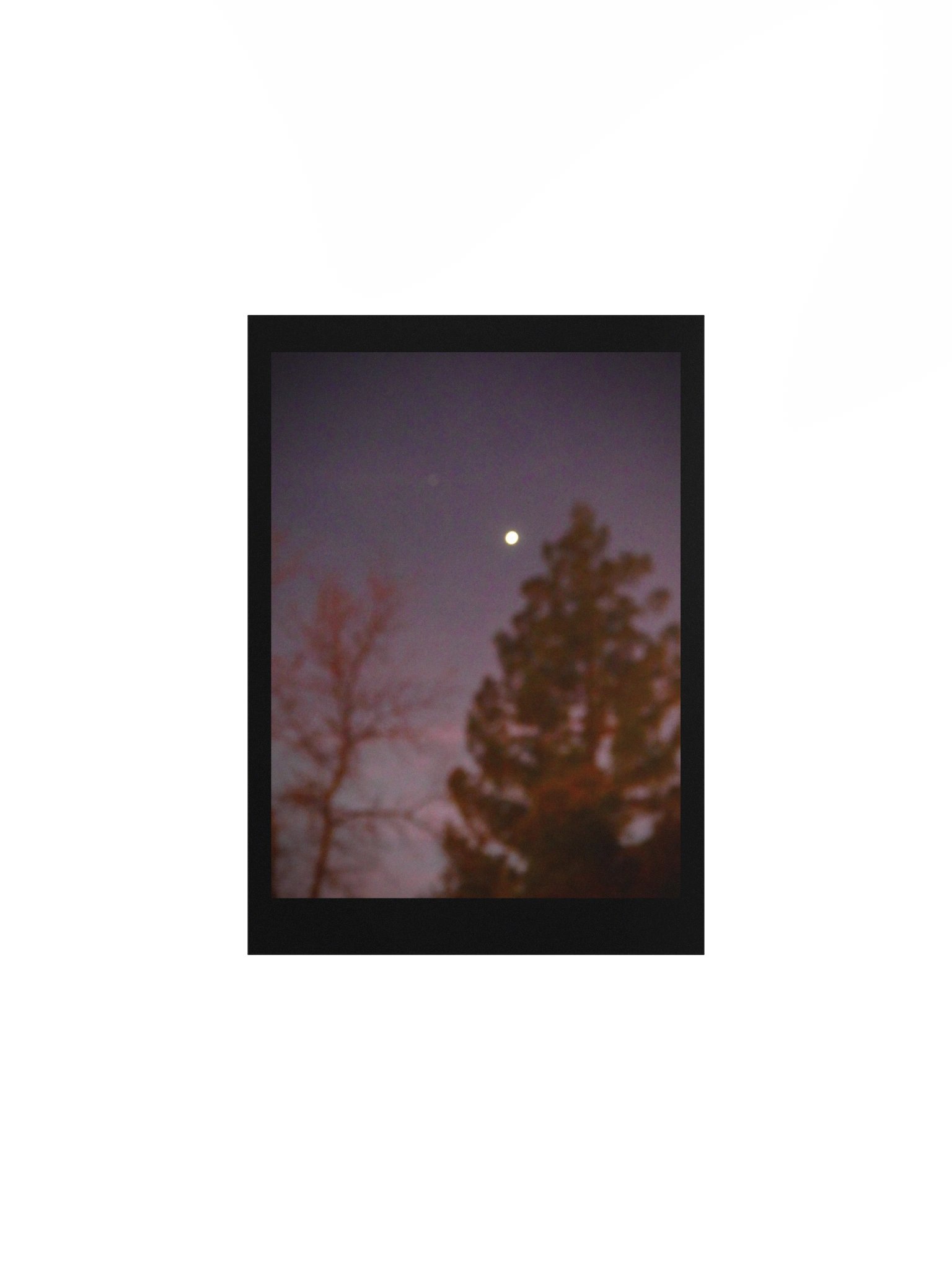 Purple Night product image (2)