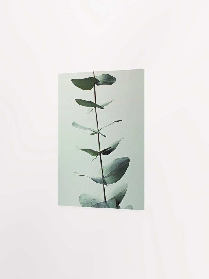Eucalyptus Whispers Matte Poster product image (26)