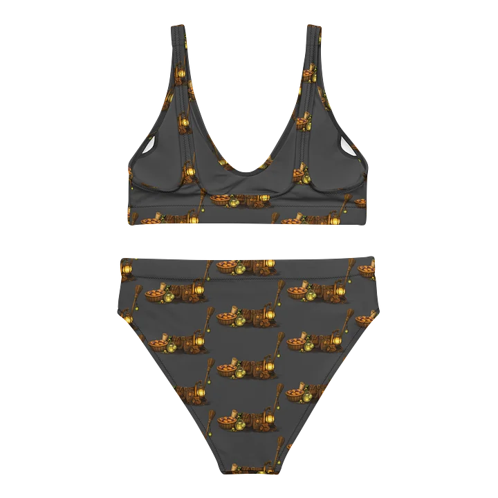 Kingdom Grovelings 2 High waisted Recycled Bikini Set product image (2)