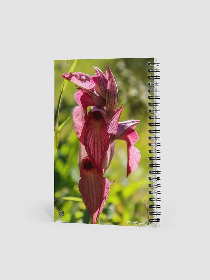 📓 Notebook Collection PURE – Orchidée sauvage – Jardin du Rayol product image (2)