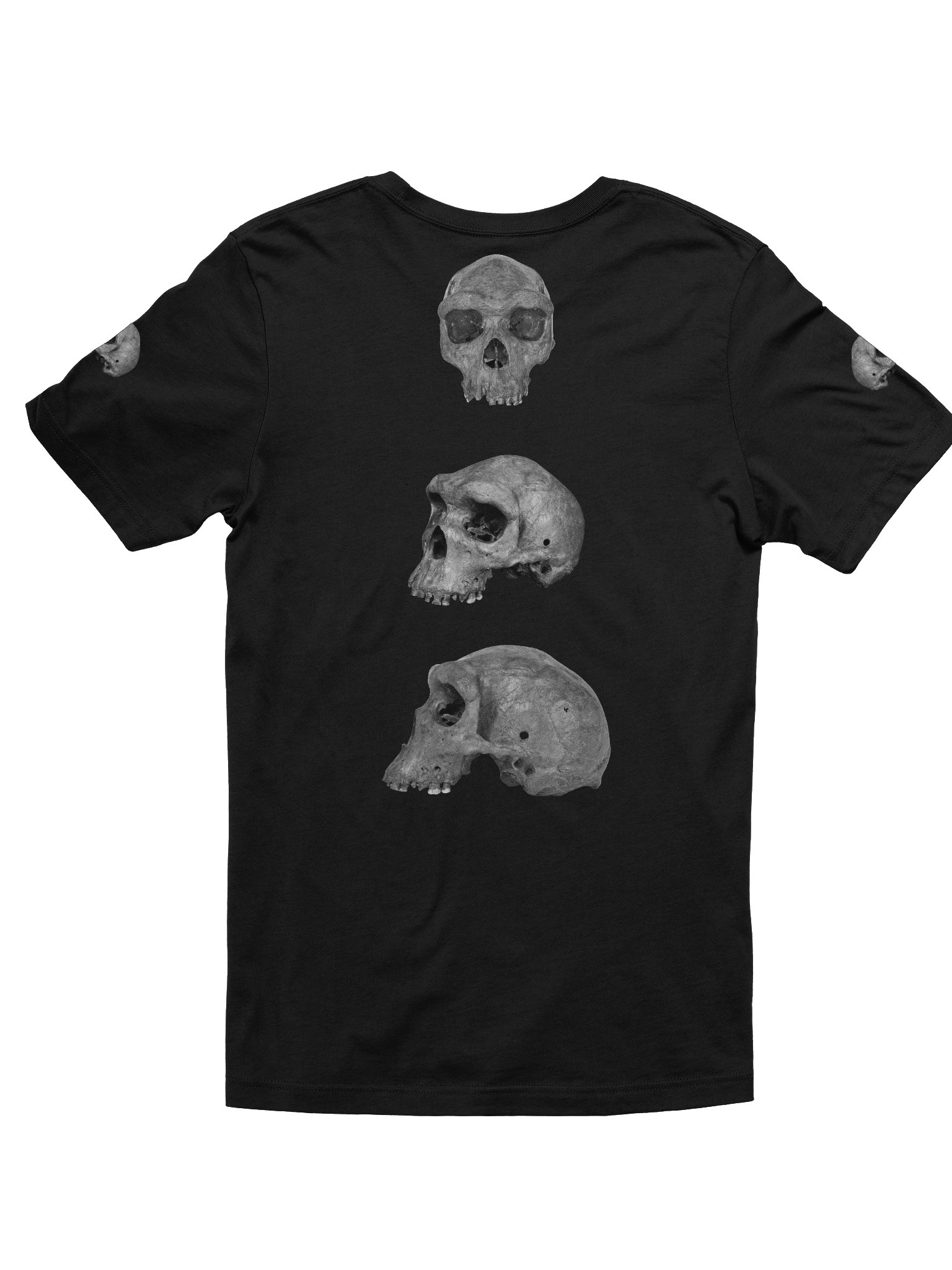 Heidelbergensis Fossil Skull T-Shirt Dark product image (10)