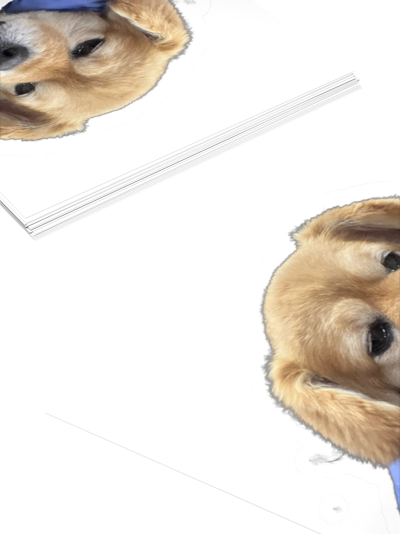 DRUGS product image (10)