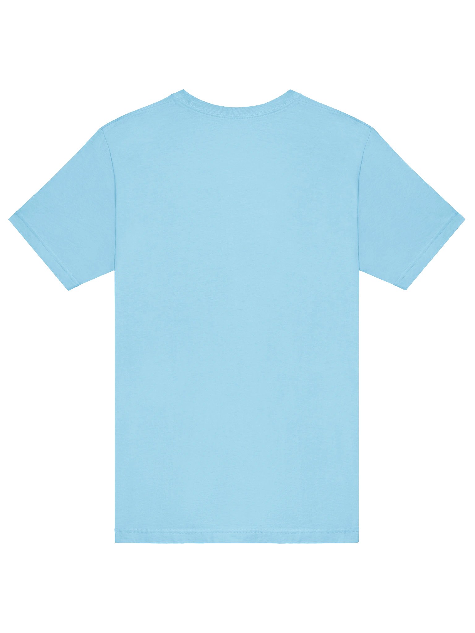 Capy Pizza T-Shirt product image (6)