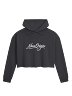 Nova Origin Brush Script Cropped Hoodie