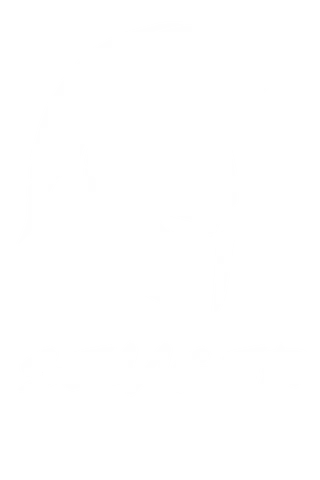 SEAASER
