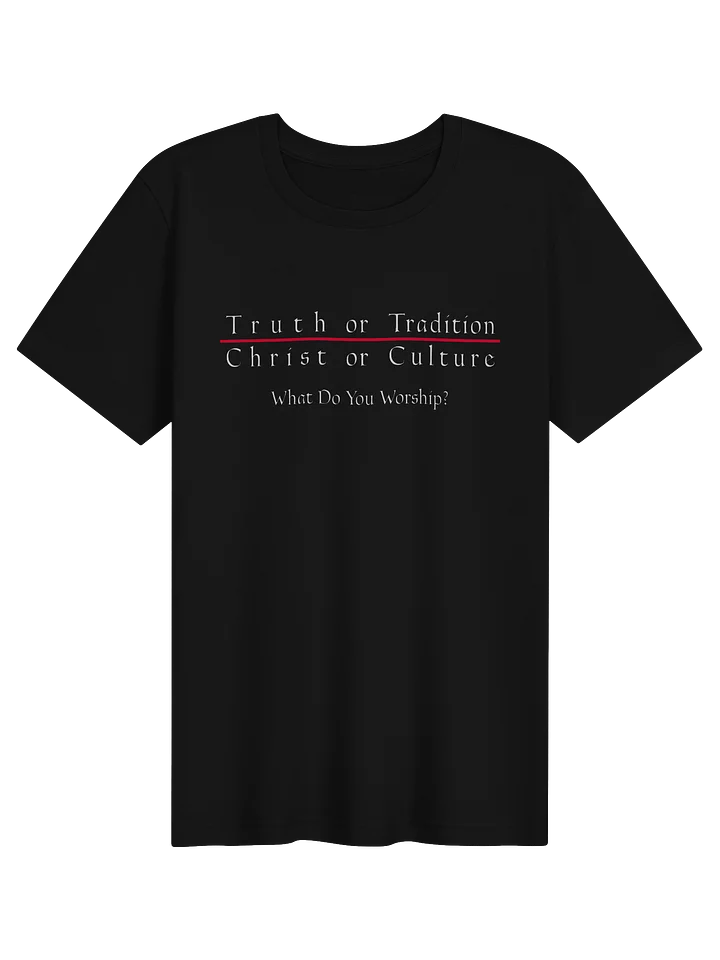 "Satanic Holy Days" T-shirt product image (1)