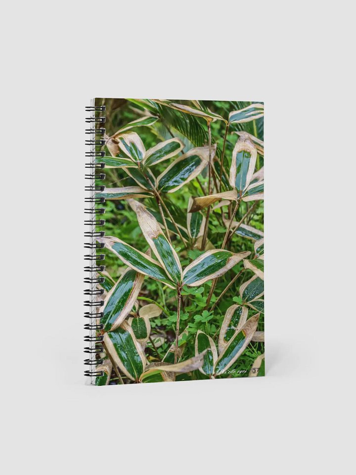 📘 Notebook Collection PURE – Jardin du Rayol – Bambou nain panaché product image (1)