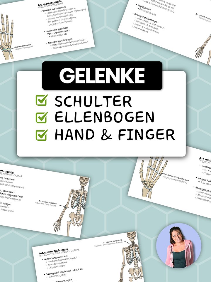 Übersicht über die Gelenke der oberen Extremität product image (1)