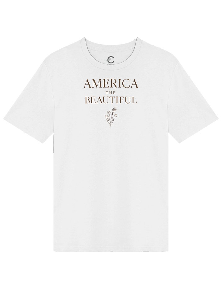 America 250: "America III" Organic T-Shirt product image (2)