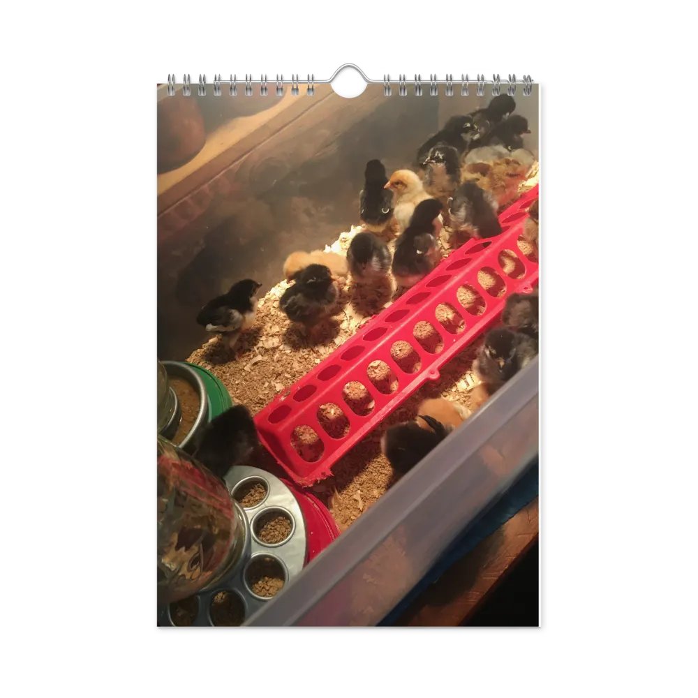 sunsmile year product image (3)