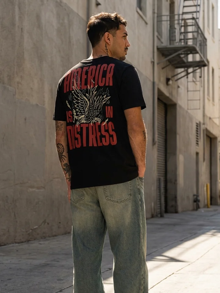 America Is In Distress - BB x SS product image (1)