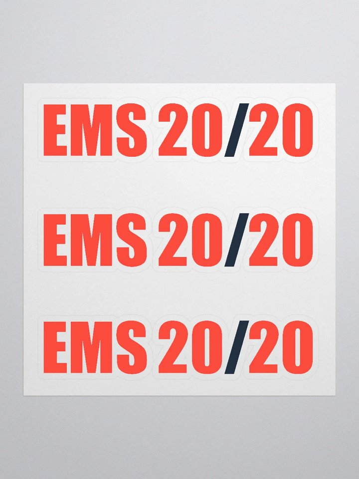 EMS 20/20 Stickers - Set of 3 product image (1)