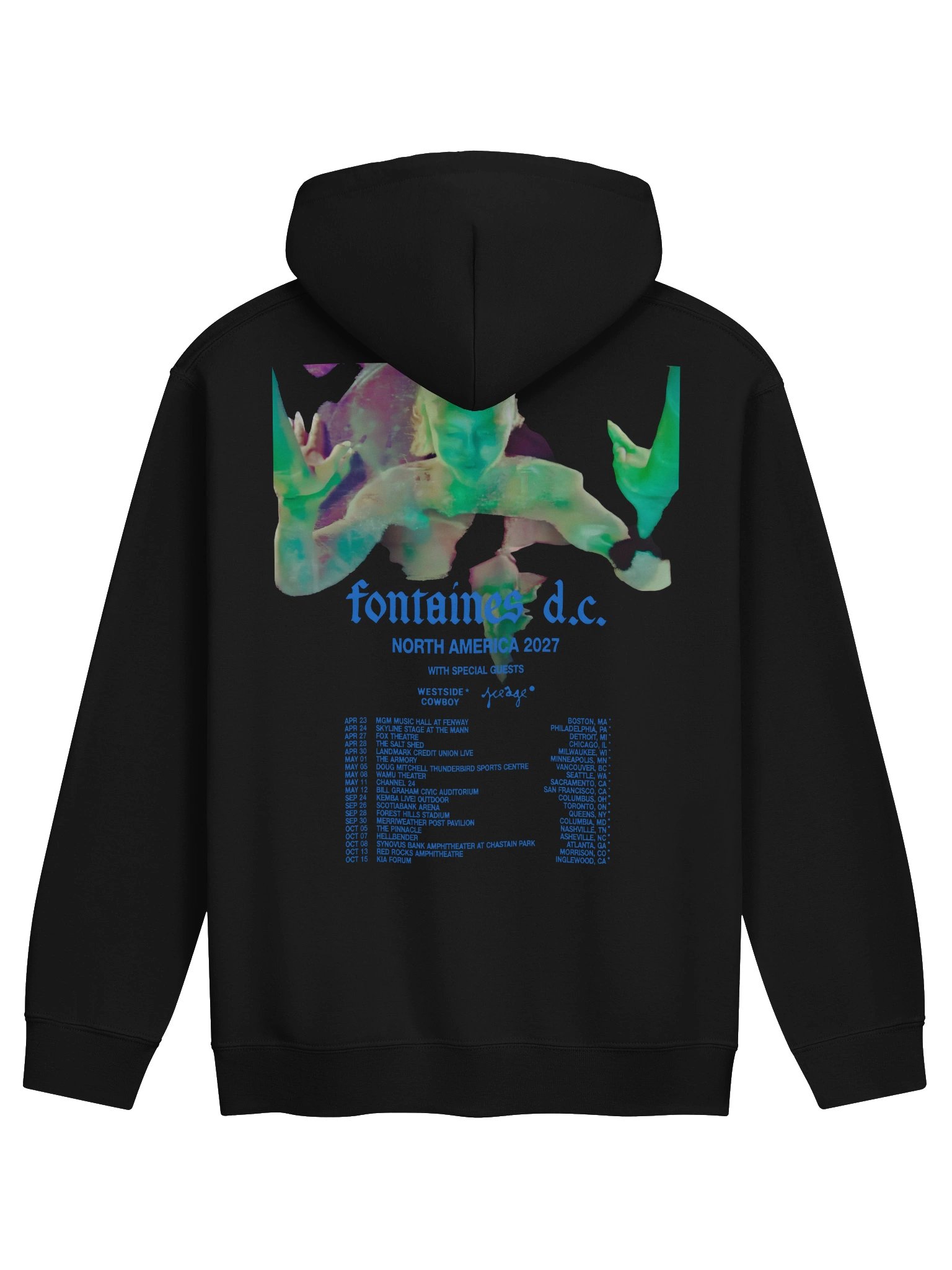 Fontaines D.C. 2027 North American Tour Merch Hoodie product image (2)