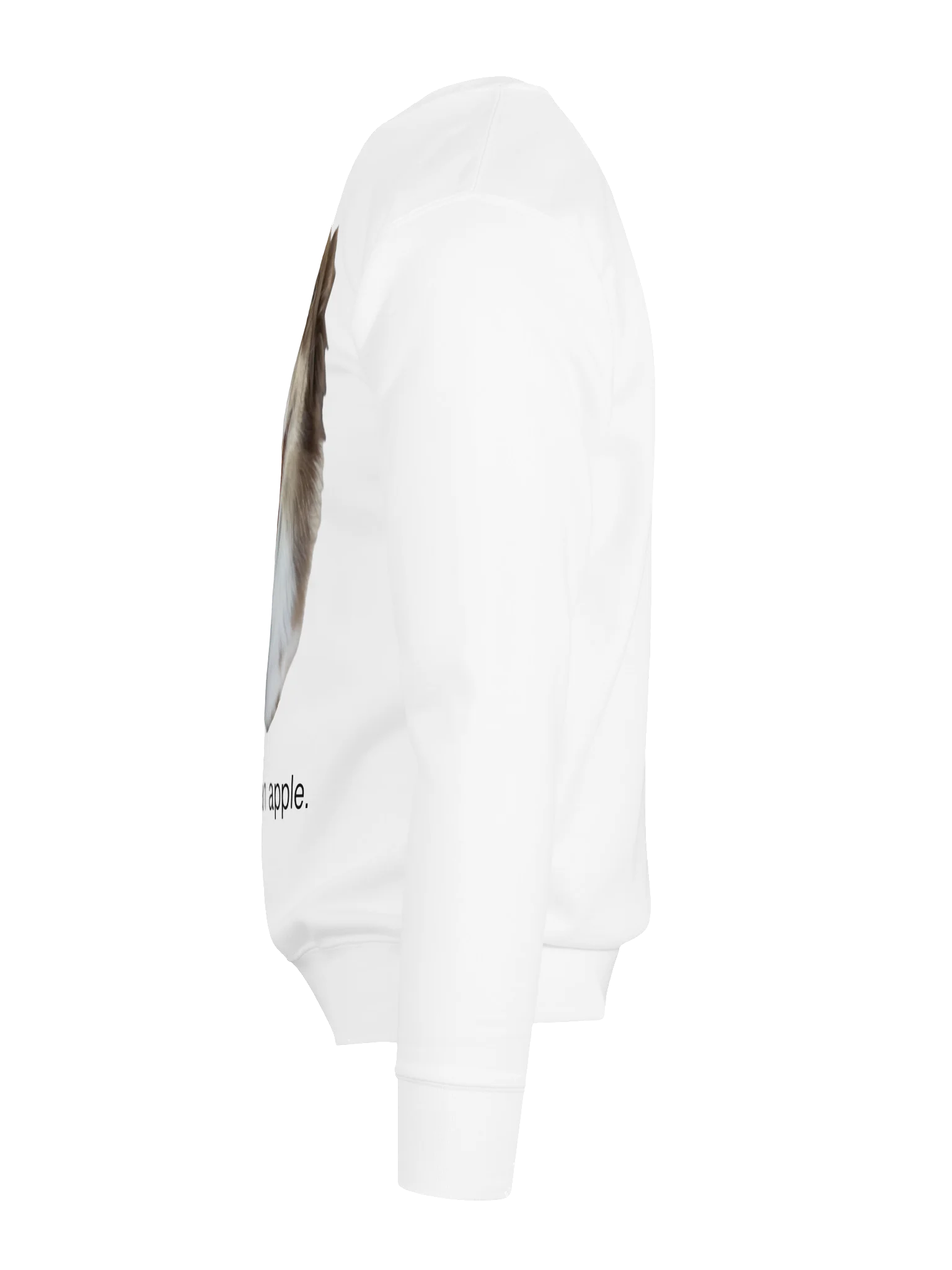 THIS IS STILL A DOG. product image (12)