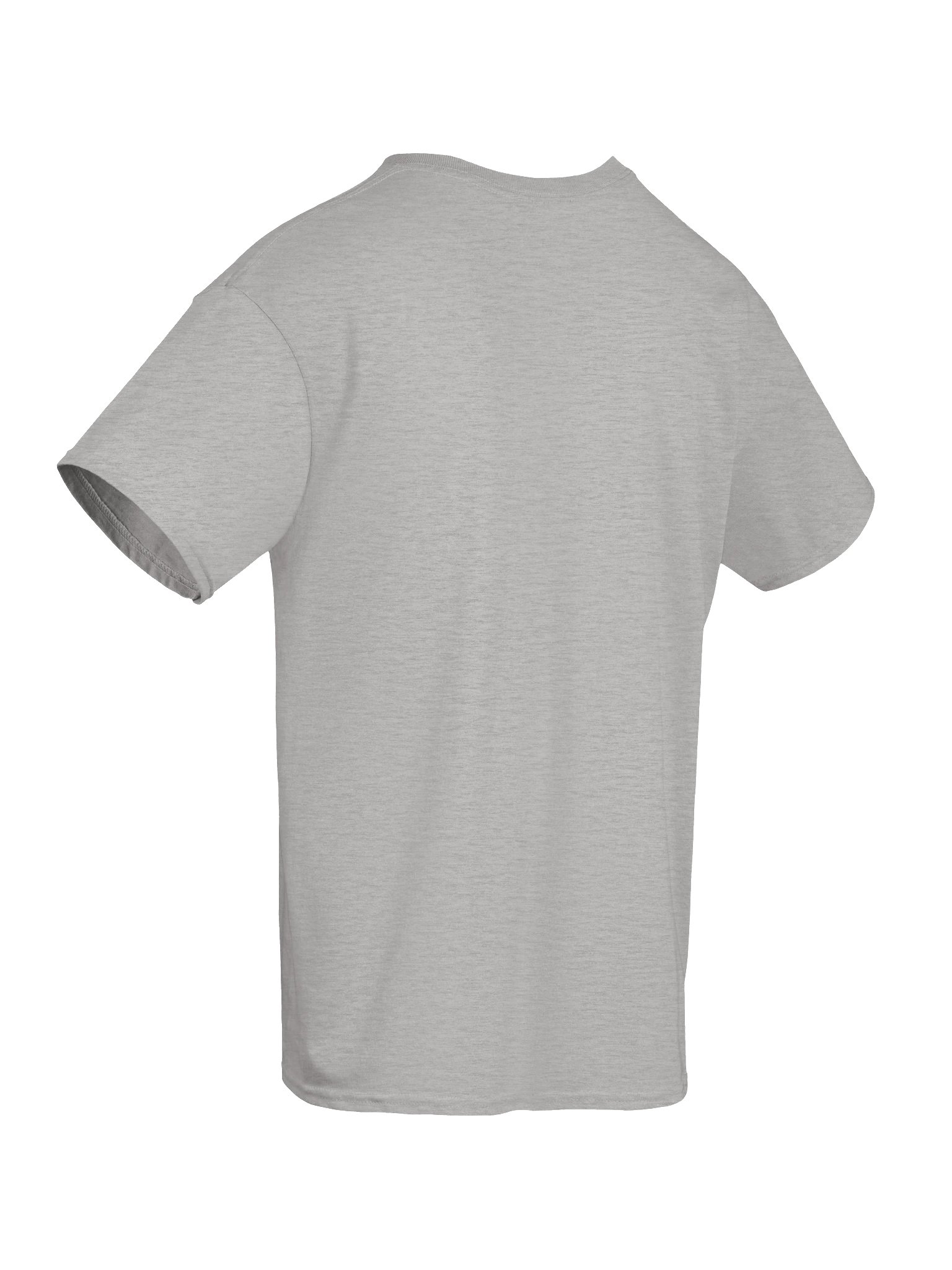 dupling Screen Print Tee (Sport Grey) product image (8)