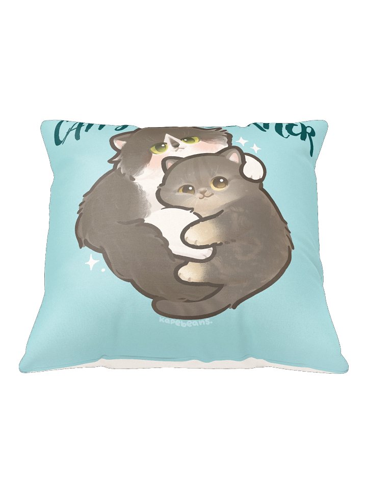 Catty Corner Ayla & Lucca Throw Pillow product image (1)