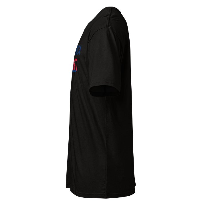 America First T- Shirt product image (2)