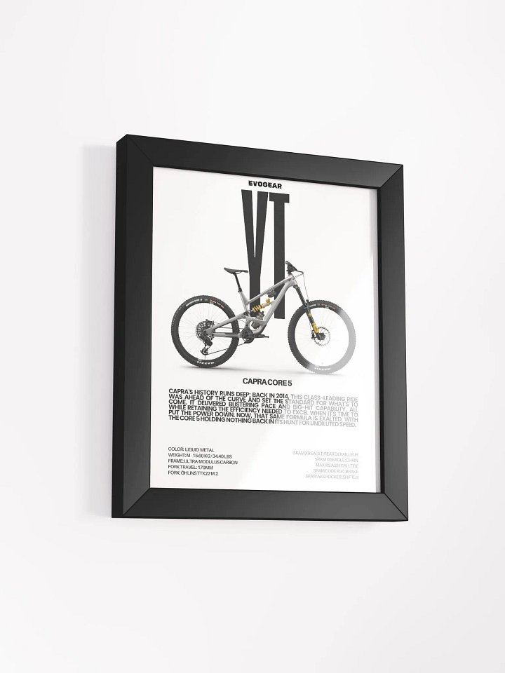 YT Capra Core 5 Frame product image (2)