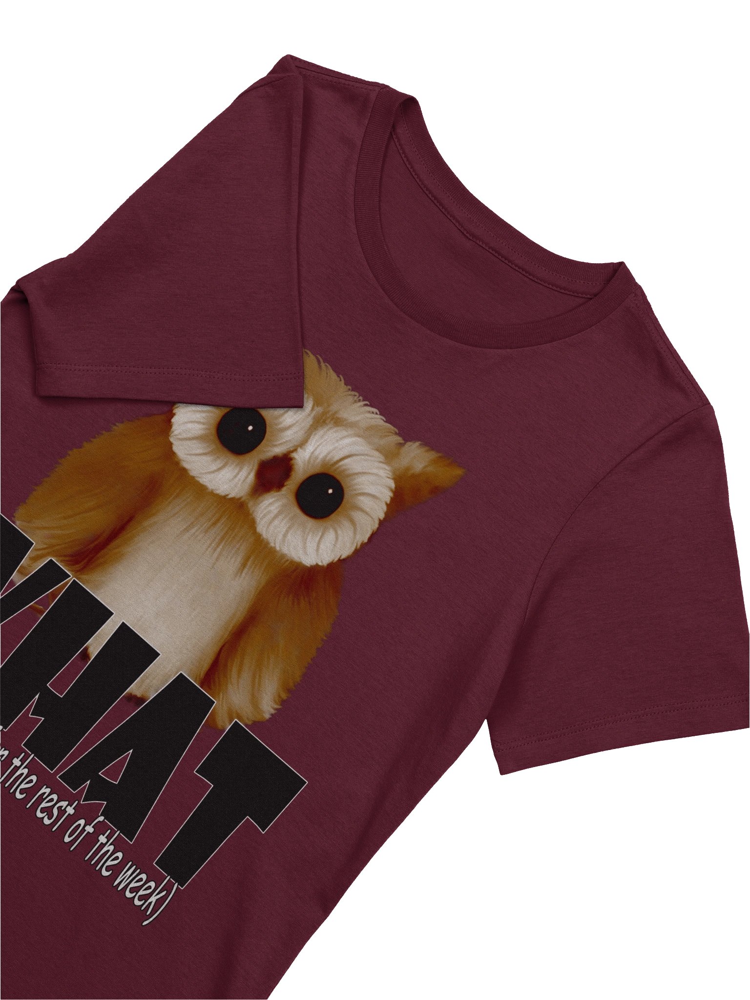 Owl "WHAT" T-Shirt. Women's Bella+Canvas Supersoft Relaxed-fit T-Shirt product image (3)