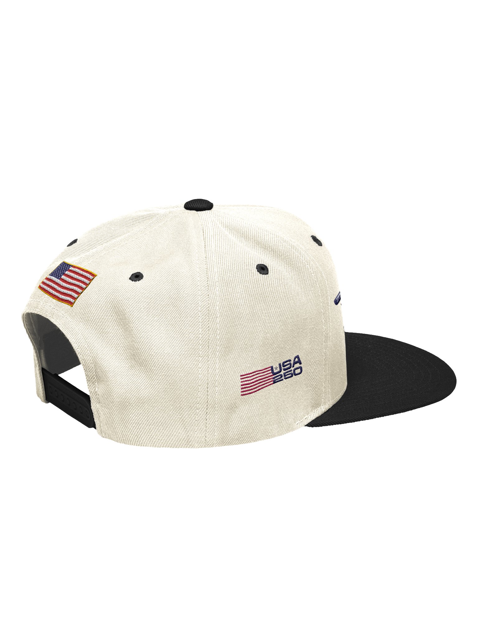USA250 Winged Logo Two Tone Cap product image (2)