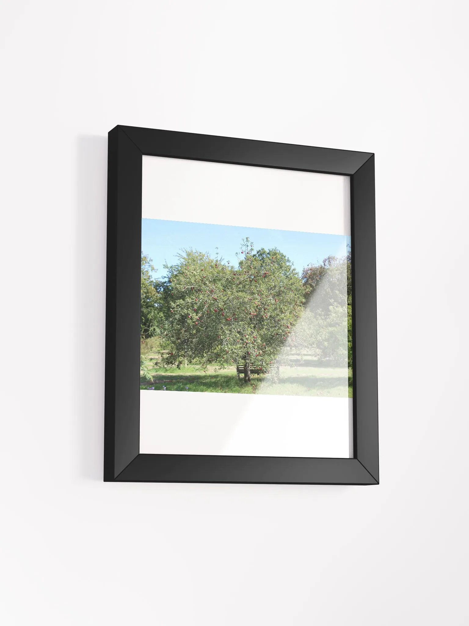 Sunny Orchard Framed Matte Poster product image (9)