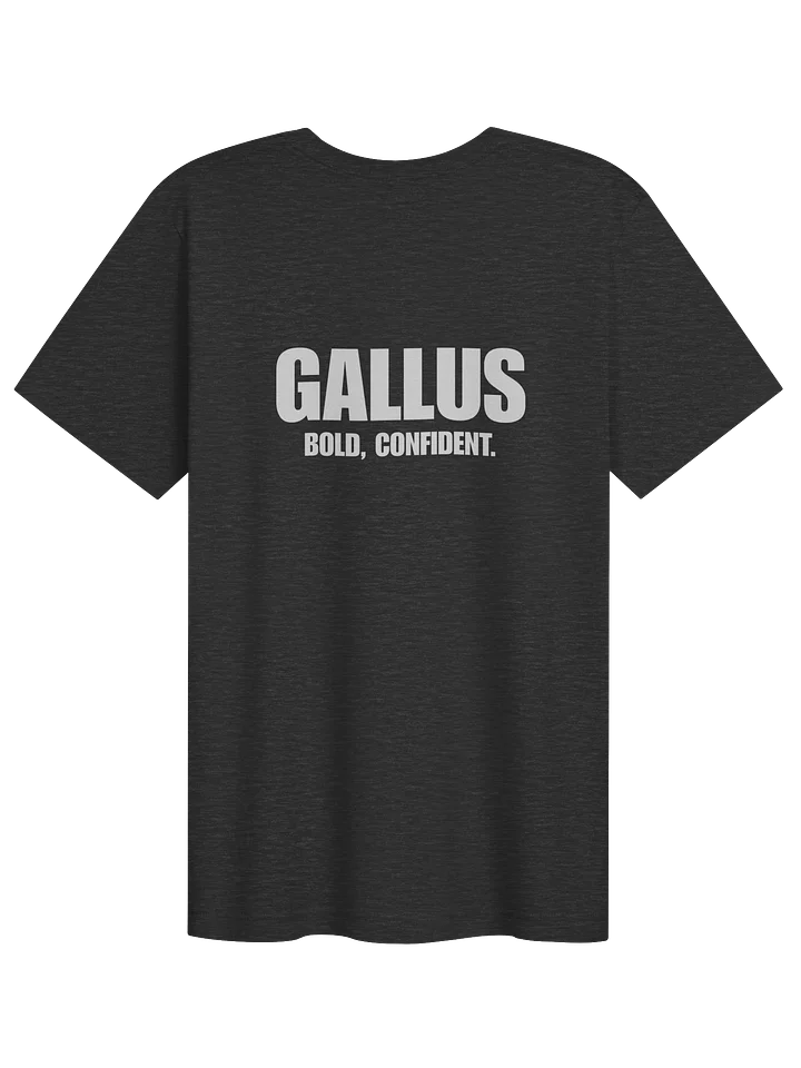 Gallus Back Text Bold Confident Tee product image (1)
