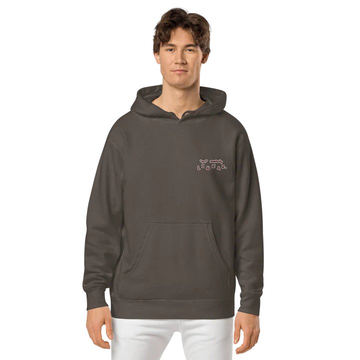 *not* mentally linear (L.C. maroon bubble design) embroidered pigment hoodie product image (2)