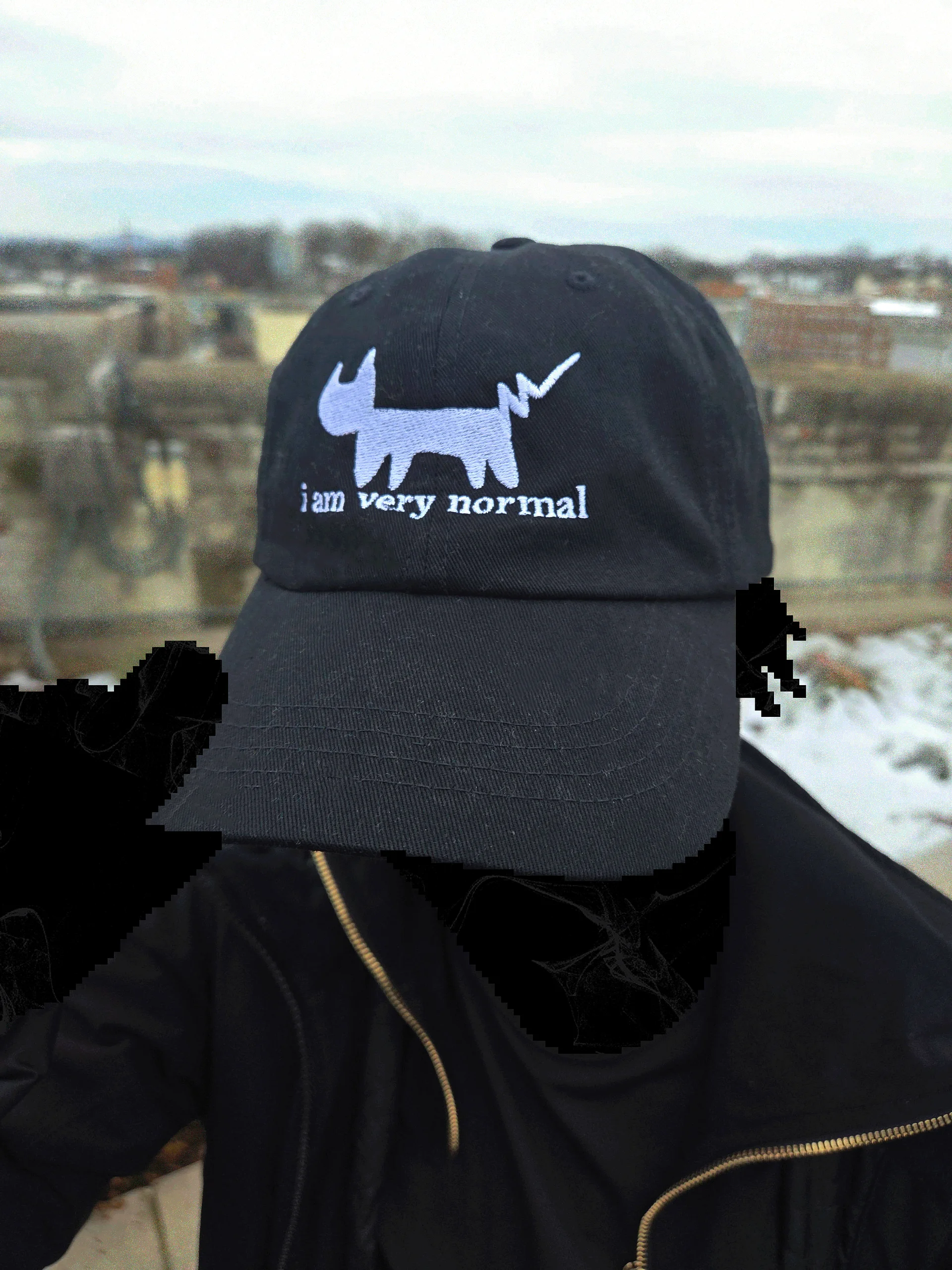 normal.hat product image (2)