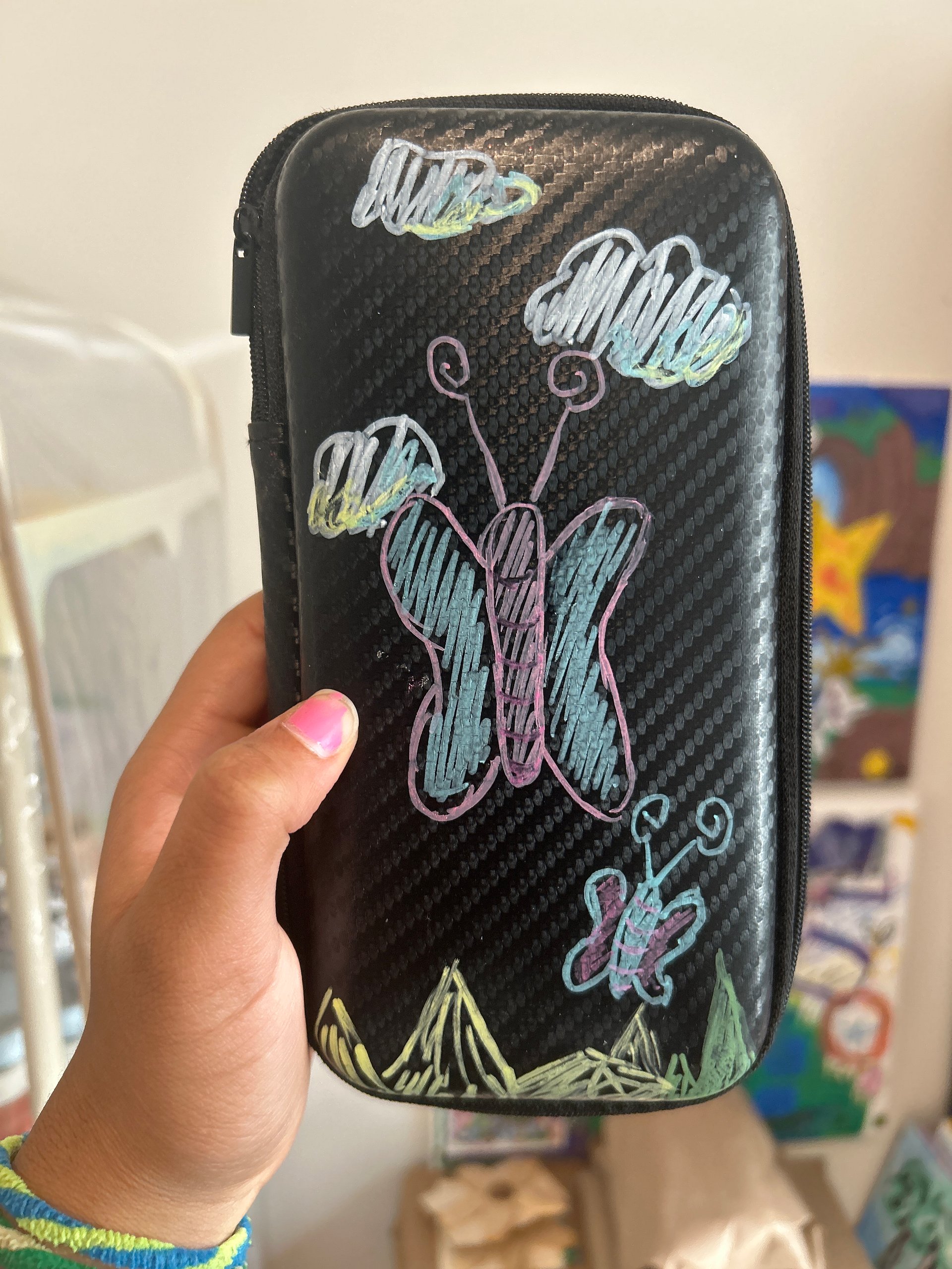 Cute butterfly painted carrying case! product image (1)
