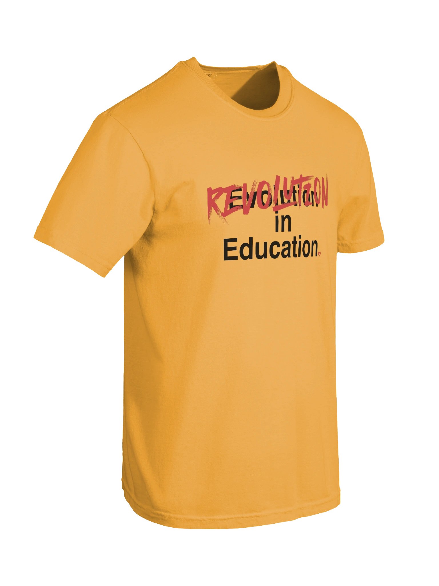 Revolution, not evolution, in Education product image (32)