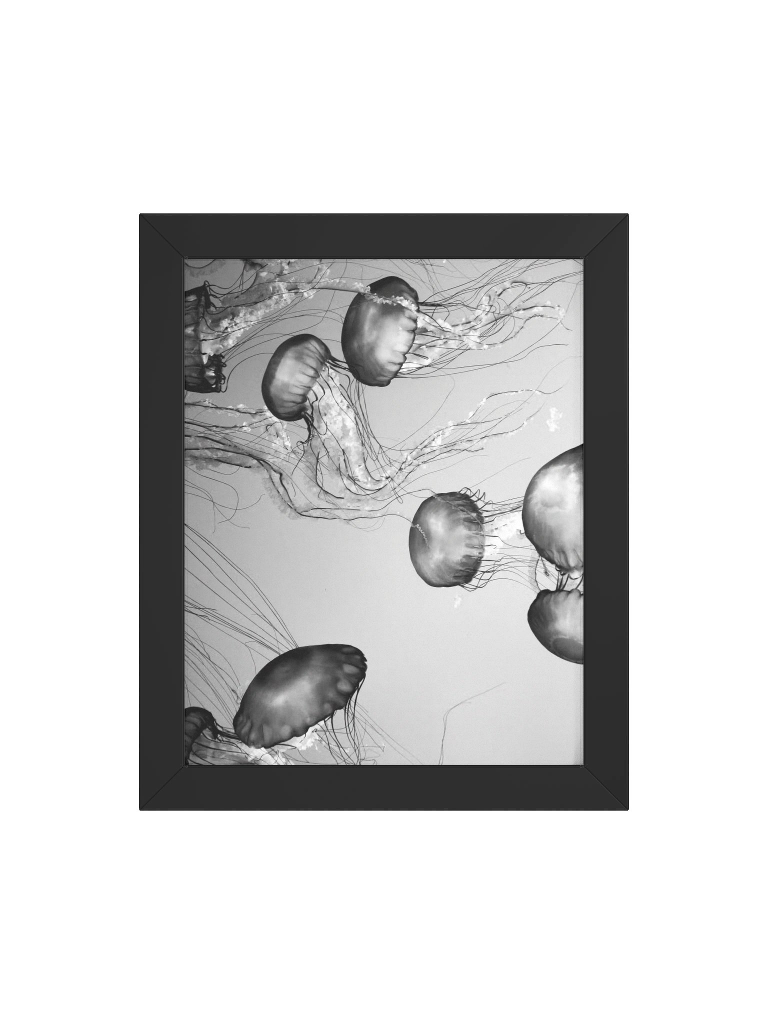 Vibrant Jellyfish Wood Framed Poster product image (56)