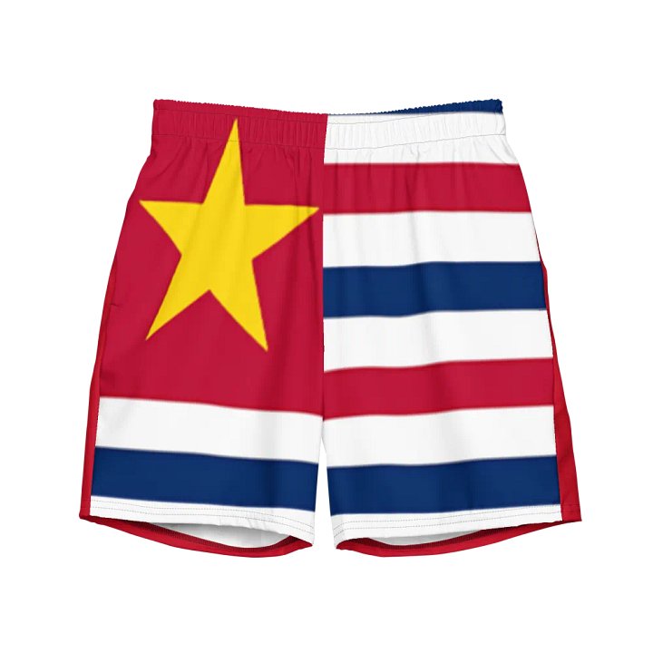 LA SwimTrunks product image (2)