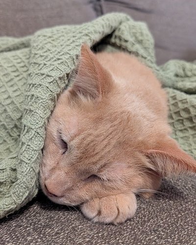 Stay cozy, everyone!!