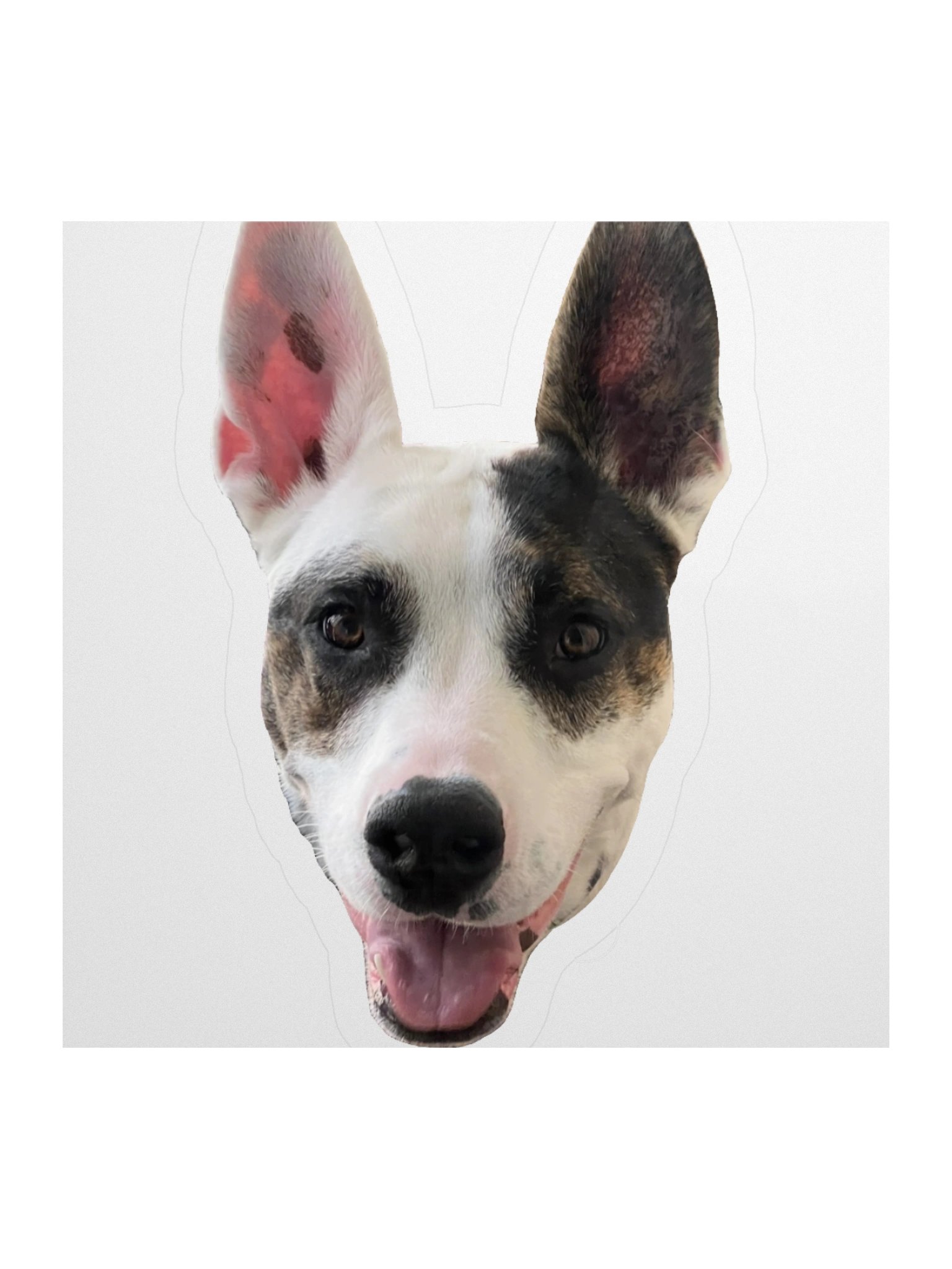 Sagey Sticker product image (2)