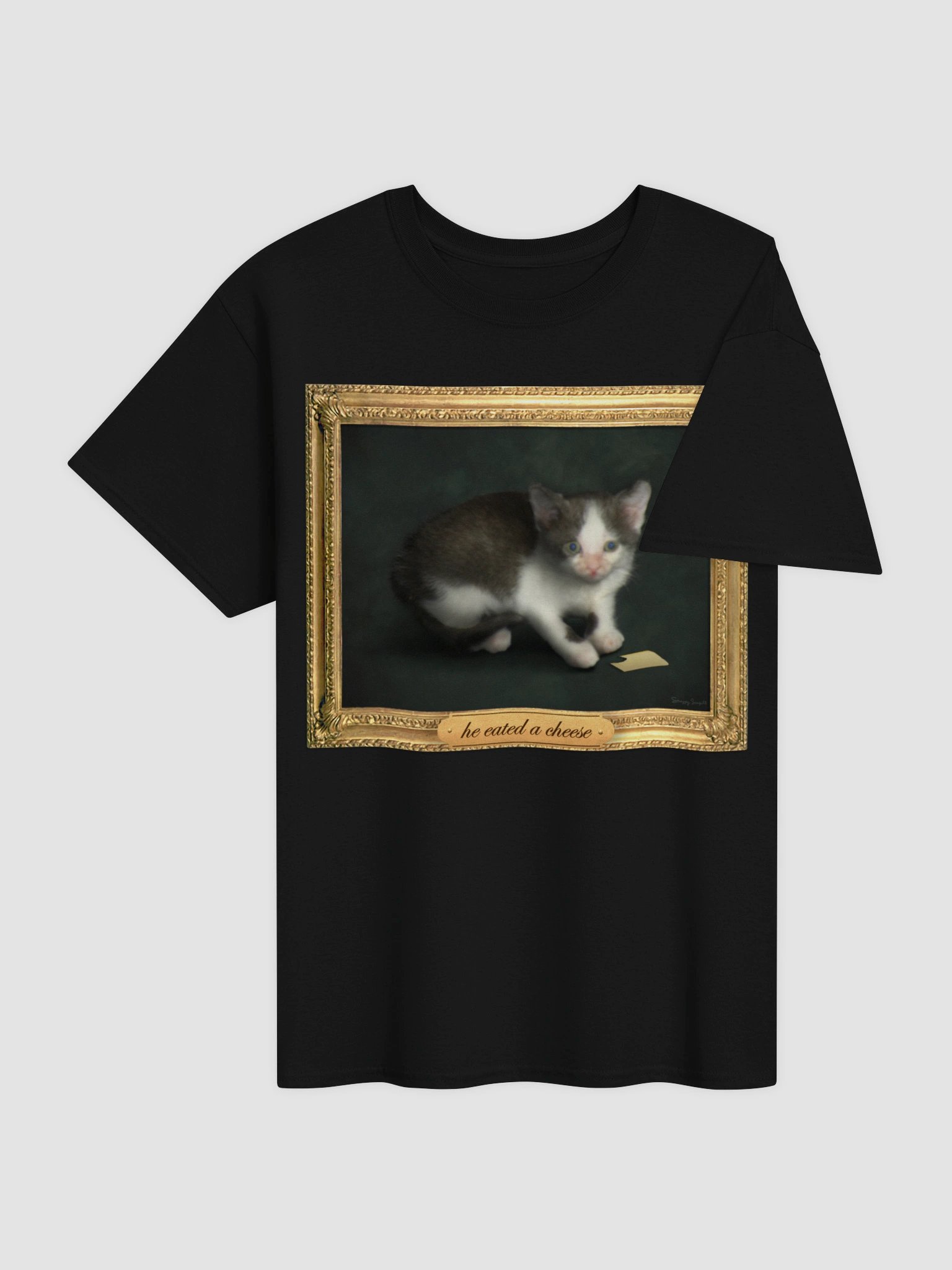 he eated a cheese T-shirt product image (4)