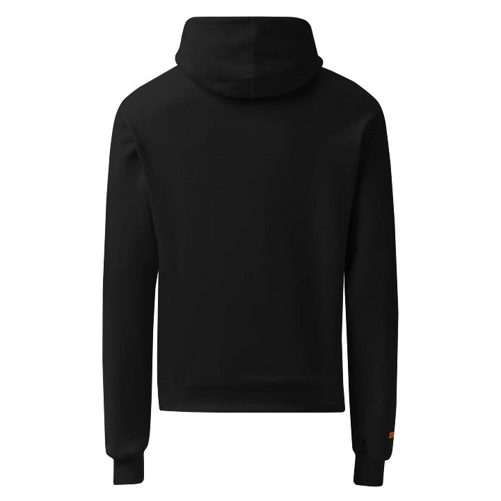 REBINJAK Champion Unisex Hoodie product image (3)